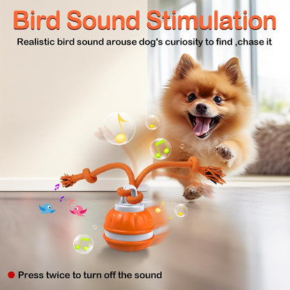 ✨HOT SALE 49% OFF✨🎄50K+🐶😼Fun Viral Bouncing Ball