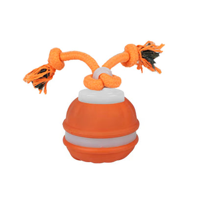 ✨HOT SALE 49% OFF✨🎄50K+🐶😼Fun Viral Bouncing Ball